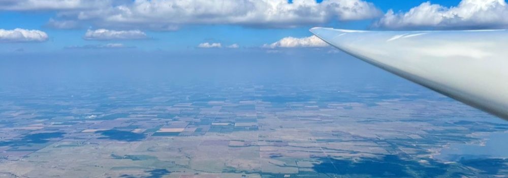 Standard Cirrus Wing